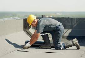 Best Skylight Installation and Repair  in Window Rock, AZ